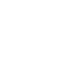 Roblox_Icon